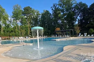 695 Belle Grove Dr, Clover, SC 29710 - Photo 38
