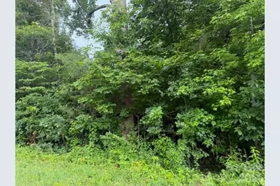 00 Bill Collins Road, Columbus, NC 28722 - Photo 14