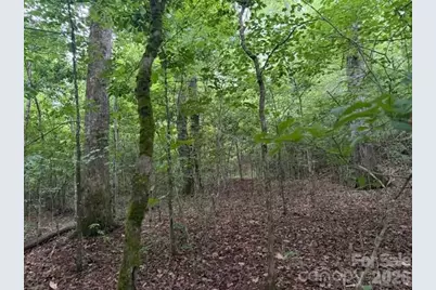 00 Bill Collins Road, Columbus, NC 28722 - Photo 12