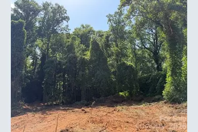 00 Bill Collins Road, Columbus, NC 28722 - Photo 6