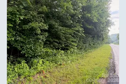 00 Bill Collins Road, Columbus, NC 28722 - Photo 16