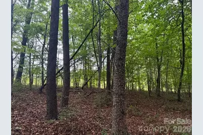 00 Bill Collins Road, Columbus, NC 28722 - Photo 2