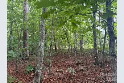 00 Bill Collins Road, Columbus, NC 28722 - Photo 8