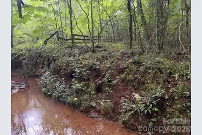 00 Bill Collins Road, Columbus, NC 28722 - Photo 4