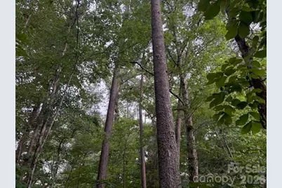 00 Bill Collins Road, Columbus, NC 28722 - Photo 10