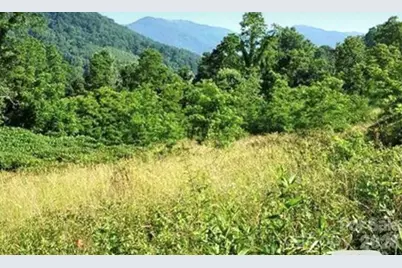 00 Split Pine Cove, Clyde, NC 28721 - Photo 2