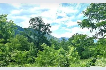 00 Split Pine Cove, Clyde, NC 28721 - Photo 4
