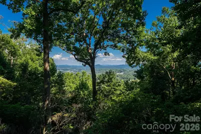 27 Walnut Drive, Mills River, NC 28759 - Photo 6