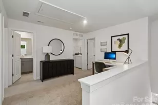 3133 Ophelia Aly, Charlotte, NC 28213 - Photo 12