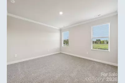 9040 Foggy Brook Loop, Charlotte, NC 28216 - Photo 20