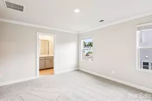 9020 Foggy Brook Loop, Charlotte, NC 28216 - Photo 10