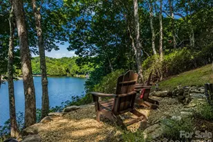 242 Wahuhu Ct, Brevard, NC 28712 - Photo 38
