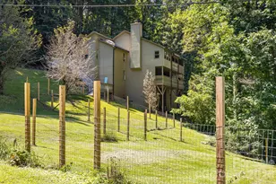 64 Big Spruce Ln, Waynesville, NC 28786 - Photo 38