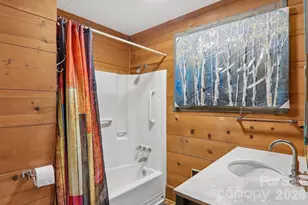 61 Bo Diddly Ln, Cedar Mountain, NC 28718 - Photo 14