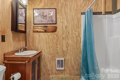 61 Bo Diddly Lane, Cedar Mountain, NC 28718 - Photo 30