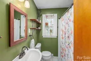 46 Flint St, Waynesville, NC 28786 - Photo 18