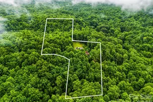 280 Laurel Creek, Cedar Mountain, NC 28718 - Photo 46