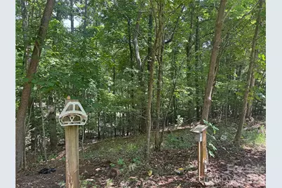 173 Croom Hollow Drive, Nebo, NC 28761 - Photo 36
