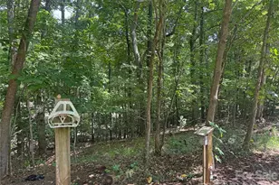 173 Croom Hollow Dr, Nebo, NC 28761 - Photo 36