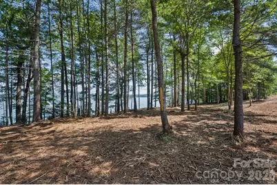 V/L N Powerhouse Road, Morganton, NC 28655 - Photo 14