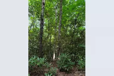99999 Nc 9 Highway, Black Mountain, NC 28711 - Photo 4