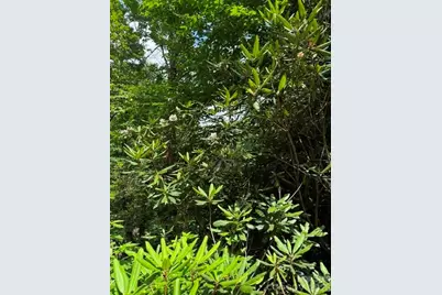99999 Nc 9 Highway, Black Mountain, NC 28711 - Photo 6