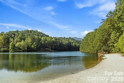 344 Wolf Trail, Lake Lure, NC 28746 - Photo 46