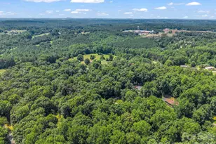 104 Dill Cir, Landrum, SC 29356 - Photo 46