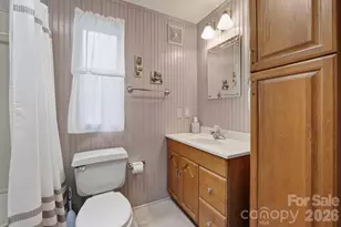 229 Concord Rd, Asheville, NC 28803 - Photo 38
