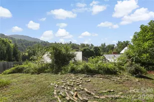 2252 Riceville Rd, Asheville, NC 28805 - Photo 44