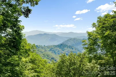 46 Trillium Lane, Mars Hill, NC 28754 - Photo 2