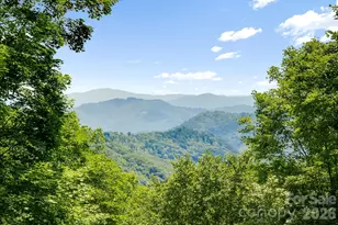 46 Trillium Ln, Mars Hill, NC 28754 - Photo 2