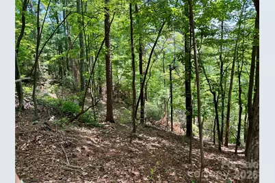 Lot 23 Bear Track Lane #23, Lenoir, NC 28645 - Photo 6