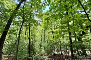 Lot 23 Bear Track Ln, Lenoir, NC 28645 - Photo 1
