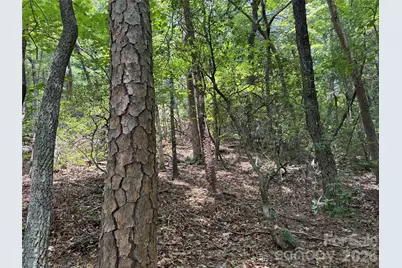 Lot 23 Bear Track Lane #23, Lenoir, NC 28645 - Photo 8