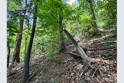 Lot 23 Bear Track Lane #23, Lenoir, NC 28645 - Photo 4