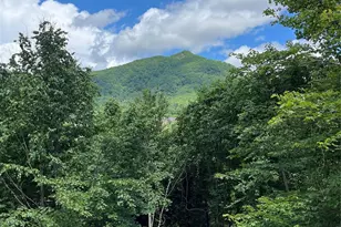 93 Village Pointe Ln, Asheville, NC 28803 - Photo 2
