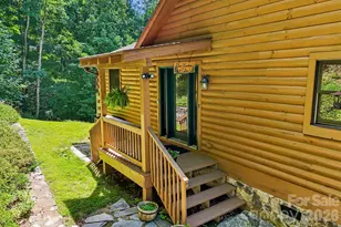 469 Tearshirt Ln, Mars Hill, NC 28754 - Photo 4