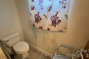 19 Honey Skipper Ln, Candler, NC 28715 - Photo 22