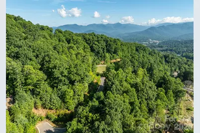 59 Old Greybeard Loop, Black Mountain, NC 28711 - Photo 4