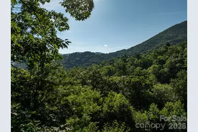 59 Old Greybeard Loop, Black Mountain, NC 28711 - Photo 2