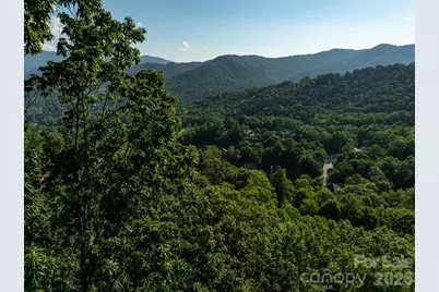 59 Old Greybeard Loop, Black Mountain, NC 28711 - Photo 18