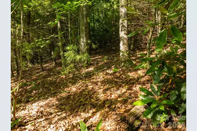 59 Old Greybeard Loop, Black Mountain, NC 28711 - Photo 10
