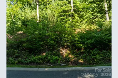 59 Old Greybeard Loop, Black Mountain, NC 28711 - Photo 8
