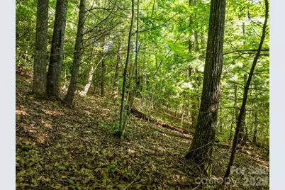59 Old Greybeard Loop, Black Mountain, NC 28711 - Photo 12