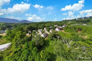 50 Ridgeland Ln, Asheville, NC 28805 - Photo 34