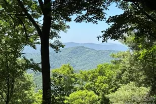 1209 McKinney Gap Dr, Mars Hill, NC 28754 - Photo 2