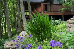 1209 McKinney Gap Dr, Mars Hill, NC 28754 - Photo 10