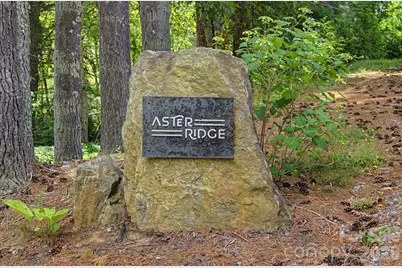 34 Aster Ridge Drive, Waynesville, NC 28786 - Photo 46