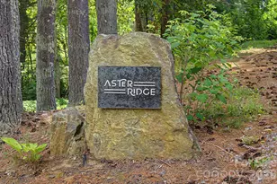 34 Aster Rdg Dr, Waynesville, NC 28786 - Photo 46